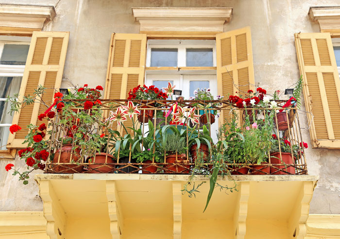 332 Roses Nafplion Balcony DP photo stella NEW!